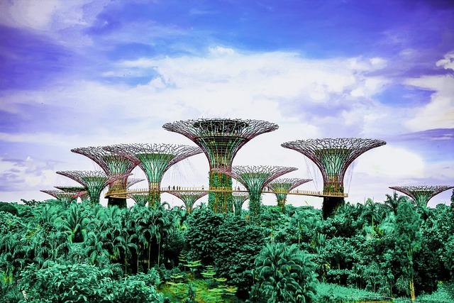 gardens-by-the-bay