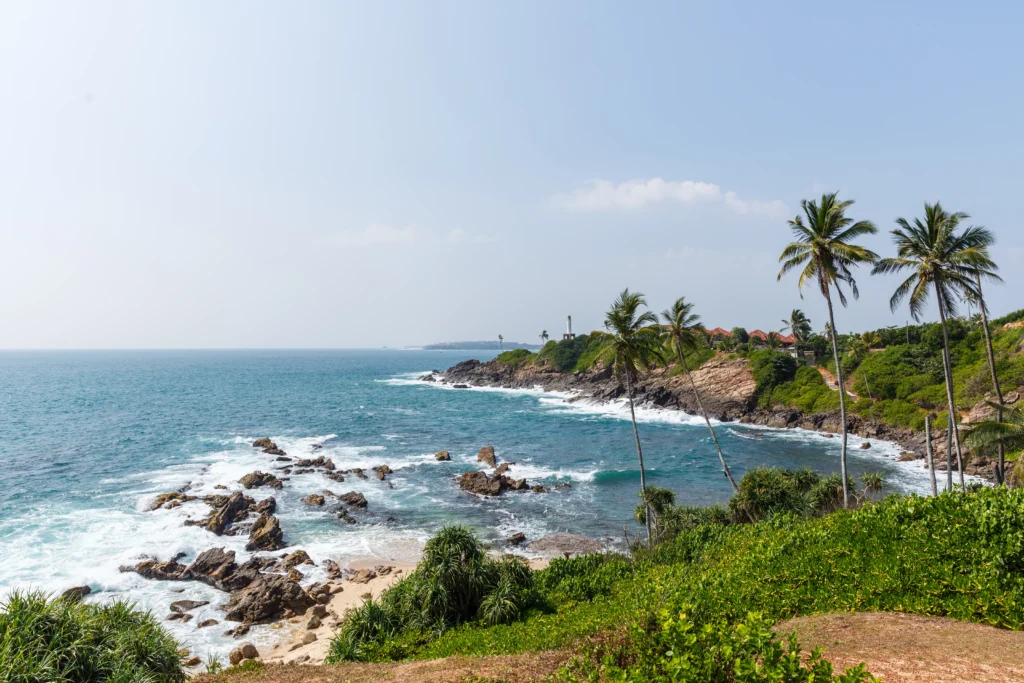 beautiful-scenic-view-of-palm-trees-om-coastline-a-2024-11-11-03-45-37-utc