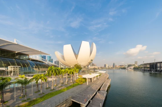 Magic of Singapore